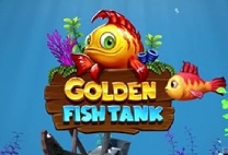 Golden Fish Tank