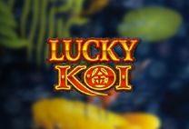 Lucky Koi