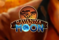 Savanna Moon