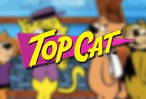 Top Cat