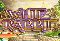 White Rabbit