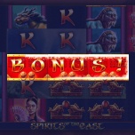 Wenn die einzelnen Bilder