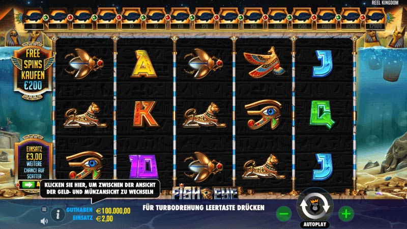 Dolphin's PearlRazor Shark