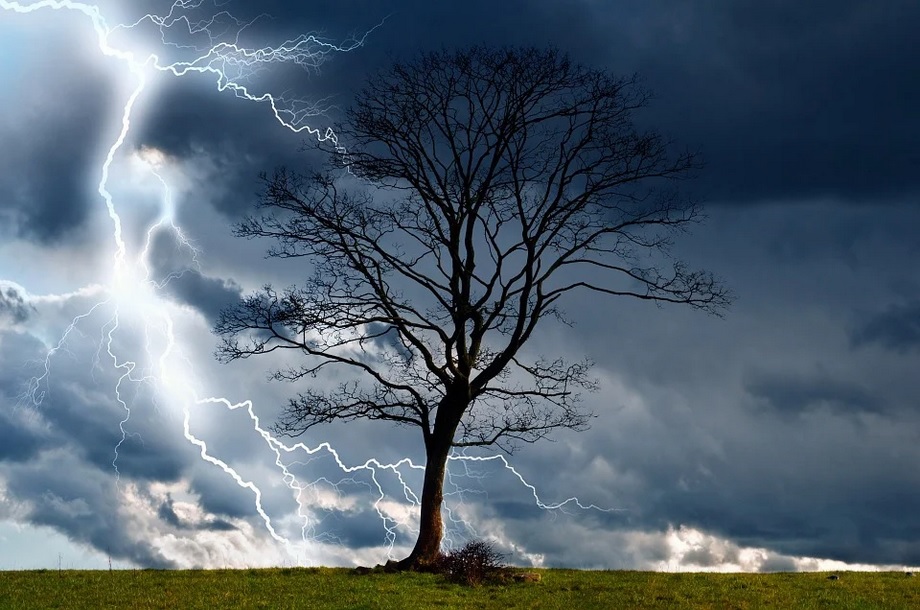 Blitz Gewitter Baum Landschaft