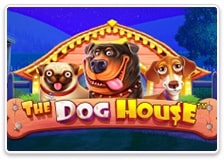 The Dog House