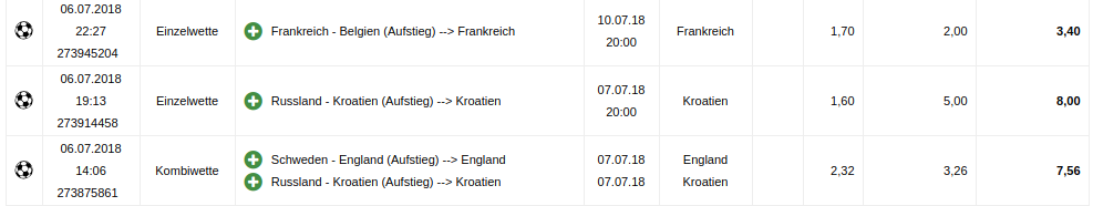 Auszug aus dem Gewinnprotokoll